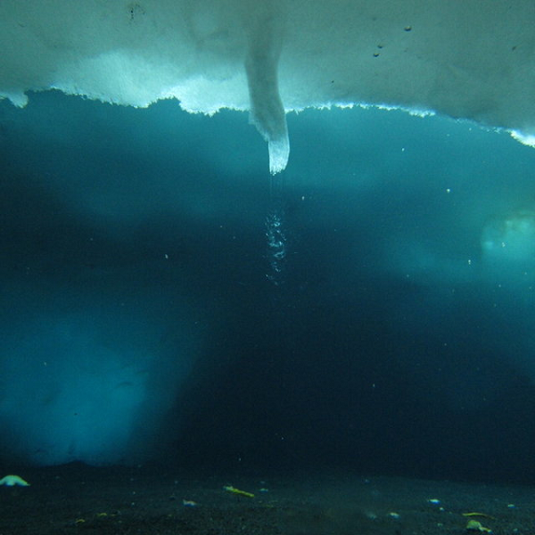 Một số nhà khoa học cho rằng những thành phần có trong khối nước mặn hình thành nên brinicle có thể là nguồn gốc sự sống trên Trái Đất. Mật độ các chất hóa học, acid và chất béo rất cao của nó có thể đã cung cấp năng lượng cần thiết để cho ra đời những nguyên tử phức tạp như ADN. Mời các bạn xem video: Khung cảnh thiên nhiên tuyệt đẹp tại các quốc gia ít dân nhất thế giới. Nguồn: VTC.