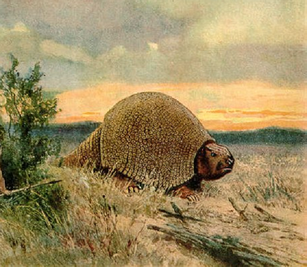 Từ khi có sự xuất hiện của loài người cách đây 10.000 năm, sự sống của loài Glyptodon dần rơi vào tình trạng báo động. Con người đã sử dụng giáo để tấn công chúng lấy thịt làm thức ăn và dùng vỏ của nó làm lá chắn hoặc xây nhà. Cuối cùng, loài Glyptodon đã tuyệt chủng cách đây 4.000 năm.