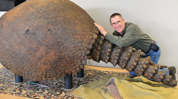 Glyptodon khá giống 1 con rùa khổng lồ, điểm khác duy nhất là nó có vành tai. Glyptodon thực chất thuộc họ nhà con tatu.