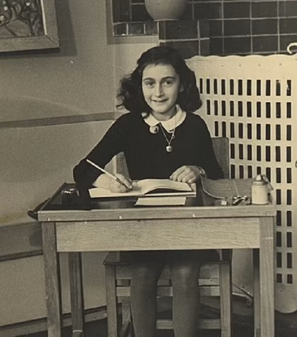 Đức Quốc xã chiếm đóng Hà Lan vào năm 1940, và người Do Thái ở đây cũng bị bắt bớ như ở nhiều nơi khác. Từ tháng 7/1942, Anne và những người thân phải trốn trong những căn phòng chật chội sau một tủ sách ở nơi làm việc của cha cô, Otto Frank.