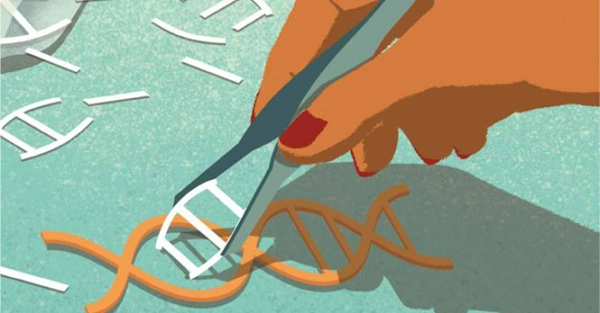 Năm 2015, các nhà khoa học Trung Quốc công bố họ đã tìm ra cách "viết" lại gene trên cơ thể người - điều mà rất nhiều khoa học gia đã thử nhưng chưa thành công. Bằng việc sử dụng 86 phôi gene, các khoa học gia đã thành công trong việc thiết kế lại 28 gene trong số này.