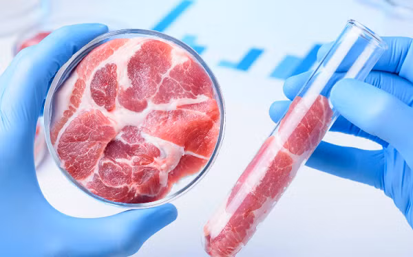 Đến tháng 12-2020, Singapore trở thành quốc gia đầu tiên trên thế giới cho phép bán thịt nhân tạo. Công ty Eat Just (Mỹ) khi đó thông báo thịt gà "sản xuất trong phòng thí nghiệm" của họ đã được cấp phép sau khi vượt qua bài kiểm tra an toàn của Cơ quan Thực phẩm Singapore (SFA).