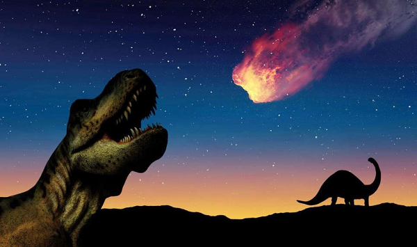 Kết quả thu được cho thấy những sinh vật tội nghiệp này đã bị chôn vùi rất sớm, rất khốc liệt sau khi nở.