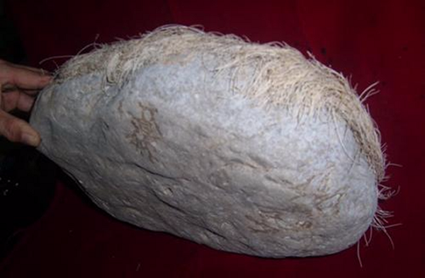 Thời gian trôi qua, địa hình thay đổi, hòn đá vốn chìm sâu dưới đại dương được nổi lên cạn do bề mặt Trái Đất thay đổi và tồn tại đến giờ.