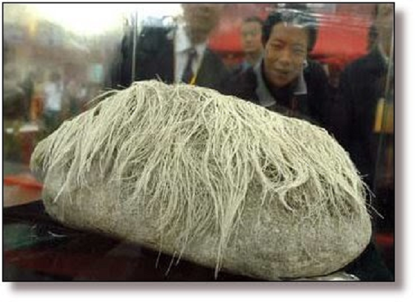 Hiện "hòn đá mọc tóc" đang được trưng bày tại triển lãm đá quý lần 3 tại Trung Quốc với mức giá 10 triệu nhân dân tệ. Mời các bạn xem video: Khung cảnh thiên nhiên tuyệt đẹp tại các quốc gia ít dân nhất thế giới. Nguồn: VTC.