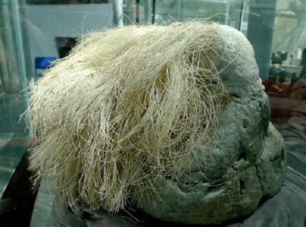 Chúng rất đặc biệt và có giá trị vài triệu đến vài chục triệu NDT (hàng tỷ VNĐ).