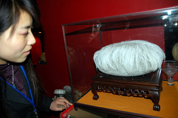 Chỉ cần đặt trong điều kiện tự nhiên thích hợp, hòn đá nhẵn thín bắt đầu "mọc tóc".