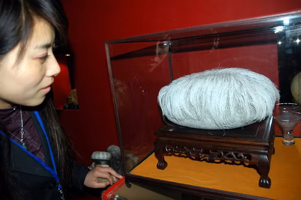 Chỉ cần đặt trong điều kiện tự nhiên thích hợp, hòn đá nhẵn thín bắt đầu "mọc tóc".