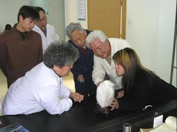 Đặc biệt, những viên đá mọc tóc này được cho là thuộc loại quý hiếm nhất trên thế giới, rất khó tìm thấy được dù ở bất kỳ đâu.