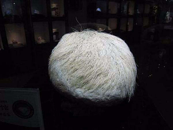 Đường kính của hòn đá "mọc tóc trắng" này là khoảng 40cm, nặng 20kg, và phần "tóc" dài khoảng 15cm. Khi về nhà, ông đã bị vợ phản đối kịch liệt vì cho rằng ông mang thứ quái dị về nhà.