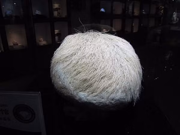 Đường kính của hòn đá "mọc tóc trắng" này là khoảng 40cm, nặng 20kg, và phần "tóc" dài khoảng 15cm. Khi về nhà, ông đã bị vợ phản đối kịch liệt vì cho rằng ông mang thứ quái dị về nhà.