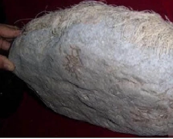 Để giải mã bí ẩn đằng sau mái tóc trắng bạc phơ này, ông tìm đến chuyên gia hải dương học. Sau khi thực hiện một số nghiên cứu về tảng đá, họ đã có thể đưa ra lời giải thích thỏa đáng cho ông Wang.