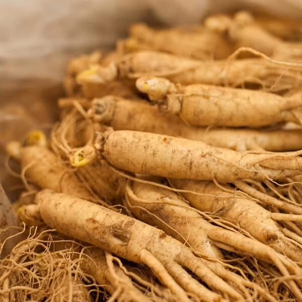 Thời cổ đại, nhân sâm đã được xem là loại thuốc đại bổ nguyên khí, an thần, ích trí, tăng cường thể lực cho người bệnh và kéo dài tuổi thọ cho con người. Không chỉ có thế mà trong sử sách Trung y còn cho thấy, người xưa đã phát hiện nhiều tác dụng của nhân sâm từ rất sớm.