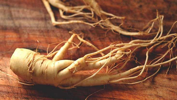 Ginsenoside có hoạt tính mạnh mẽ trong tác dụng nâng sao sức miễn dịch cho cơ thể người. Bên cạnh đó, nó giúp tăng trí nhớ, chống stress, bảo vệ và tác động lên hệ miễn dịch giúp chống viêm, chống lão hóa cho tế bào...