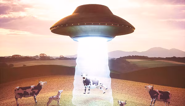 Có rất nhiều báo cáo về những vụ gia súc chết hàng loạt bằng cách thức vô cùng kỳ dị được ghi nhận trên thế giới. Điều này khiến nông dân hoang mang và tức giận suốt nhiều thập kỷ.