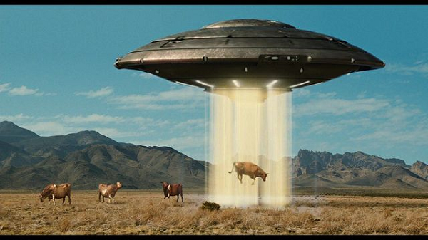 Có một manh mối là ở gần khu vực đó, tương truyền người dân thường xuyên chứng kiến cảnh đĩa bay xuất hiện. Thậm chí, một số người còn chứng kiến cảnh gia súc bị đĩa bay hút lên rồi lại thả xuống mặt đất. Do đó, người ta nghi ngờ rằng những con vật này có thể đã được đưa trở lại sau khi bị mổ trên đĩa bay.