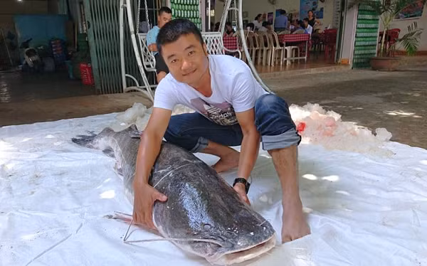 Cá lăng đuôi đỏ là loài cá nhiệt đới phân bố ở châu Á, đặc biệt là các nước ở lưu vực sông Mê Kông. Ở Việt Nam, chúng phân bố rộng rãi ở các thủy vực nước ngọt và nước lợ nhẹ miền Nam.