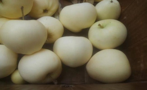 Trên một trang thương mại điện tử, táo trắng được bán với giá 1.500 yên/kg (tương đương hơn 300.000 đồng/kg).