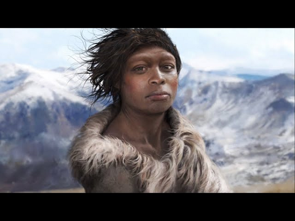 Khoảng 600.000-744.000 năm về trước, một dòng giống mang tên Homo heidellbergensis thuộc chi Người (Homo) bắt đầu phân tách. Một nhóm nhanh chóng tiến hóa thành người Denisovans và người Neanderthals.