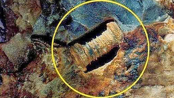 Cuối cùng nhóm người quyết định báo cảnh sát và sau đó mời chuyên gia tới để xem xét. Sau khi thẩm định kỹ càng, họ kết luận rằng: "Tảng đá "ốc vít" này rất thú vị. Niên đại của nó từ cách đây 350 triệu năm."