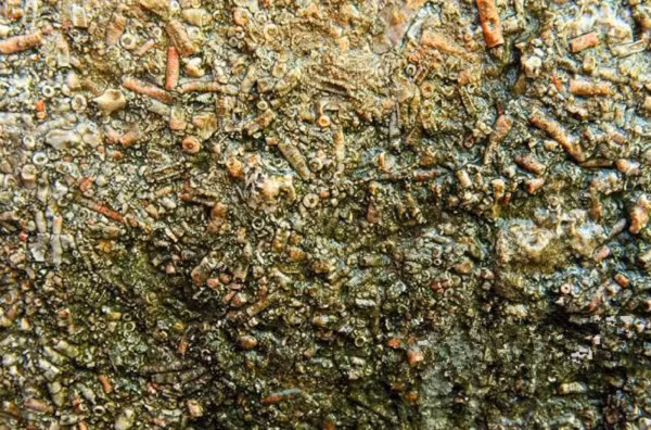 Có người dùng tay chạm vào thì phát hiện ra bề mặt tảng đá khá thô ráp nhưng mềm mại chứ không cứng như kim loại. Vì thấy quá kỳ lạ vì nếu đây là ốc vít thật thì chúng hẳn phải rất lâu đời, thậm chí suy đoán là đồ vật liên quan tới UFO.