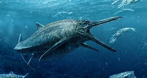Ichthyosaur là bất kỳ thành viên nào của nhóm bò sát thủy sinh đã tuyệt chủng, hầu hết chúng đều rất giống với cá heo về ngoại hình và thói quen. Họ hàng xa của thằn lằn và rắn (lepidosaurs) là những loài bò sát thủy sinh chuyên biệt nhất, nhưng ichthyosaurs không phải là khủng long .