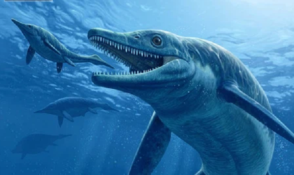 "Kích thước sử thi" tức to lớn khác thường như các quái vật được mô tả trong các sử thi hay thần thoại cổ xưa. Cymbospondylus youngorum xuất hiện chỉ 8 triệu năm sau khi con ngư long đầu tiên có mặt trên địa cầu.