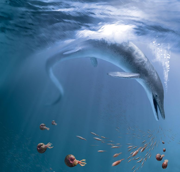 Các nhà khoa học cho biết, với hộp sọ dài tới 2 mét, ước tính kích thước của con vật khi còn sống lên tới 17 mét. Hộp sọ được bảo quản trong trạng thái hoàn toàn tốt và được xác định thuộc về loài Cymbospondylus youngorum.