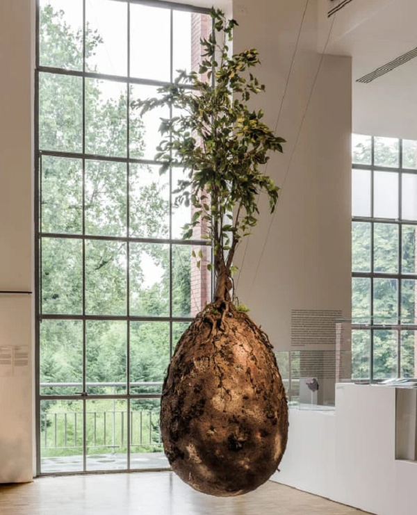 Một nhóm thiết kế người Italia đã đưa ra ý tưởng về một chiếc bình phân hủy sinh học hình quả trứng được đặt dưới một cái cây. Khi bạn qua đời, hãy trở thành một cái cây.