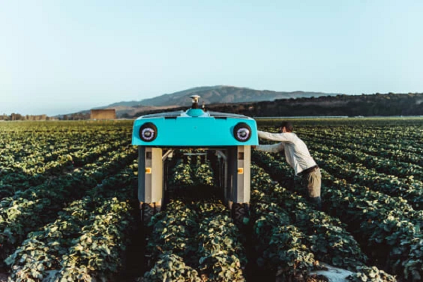 Công ty mẹ của Google – Alphabet – đang khám phá Mineral Rover thông qua X, nhà máy chuyên giải quyết các vấn đề vĩ mô thế giới thông qua công nghệ. Mineral Rover là một chiếc xe 4 bánh tự vận hành có kích thước bằng một chiếc ô tô nhỏ. Chiếc xe sử dụng trí tuệ nhân tạo giúp nông dân tối đa hóa năng suất cây trông và giảm tác động đến hệ sinh thái.