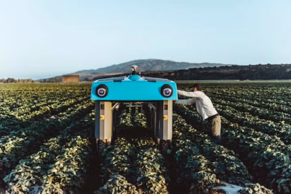 Công ty mẹ của Google – Alphabet – đang khám phá Mineral Rover thông qua X, nhà máy chuyên giải quyết các vấn đề vĩ mô thế giới thông qua công nghệ. Mineral Rover là một chiếc xe 4 bánh tự vận hành có kích thước bằng một chiếc ô tô nhỏ. Chiếc xe sử dụng trí tuệ nhân tạo giúp nông dân tối đa hóa năng suất cây trông và giảm tác động đến hệ sinh thái.