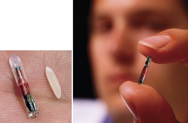 Kể từ sau vụ mất tích bí ẩn đó, công danh sự nghiệp Napoleon lên như diều gặp gió. Chỉ 1 năm sau, ông được hoàng gia sắp xếp phụ trách quân đội Pháp tại Italia.