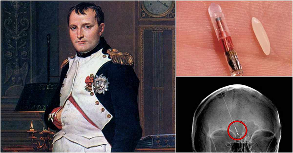Theo tiến sĩ Dubois - người tìm thấy chiếc vi mạch cho rằng:“Có lẽ vi mạch đã giúp Napoleon có khả năng tư duy và lãnh đạo sáng suốt, tài tình. Bằng chứng là việc các chiến lược của ông đều rất đơn giản nhưng lại đem đến thắng lợi lớn cho quân Pháp và thay đổi cục diện châu Âu thời đó.”