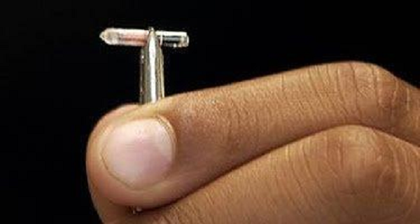 Vật thể kỳ bí này giống như một vi mạch nhỏ, dài nửa inch. Quan sát mức độ phát triển của các vùng xương quanh vi mạch, các nhà khoa học cho rằng vì mạch đã được cấy vào đầu Napoleon từ thời trẻ.