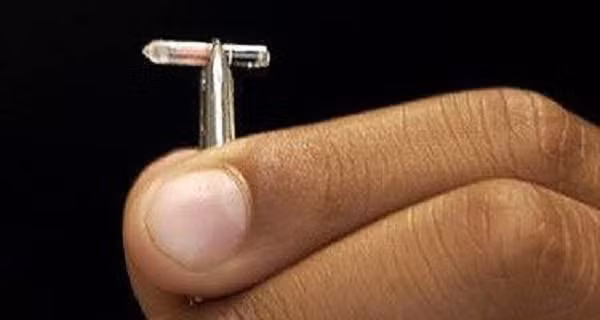 Vật thể kỳ bí này giống như một vi mạch nhỏ, dài nửa inch. Quan sát mức độ phát triển của các vùng xương quanh vi mạch, các nhà khoa học cho rằng vì mạch đã được cấy vào đầu Napoleon từ thời trẻ.