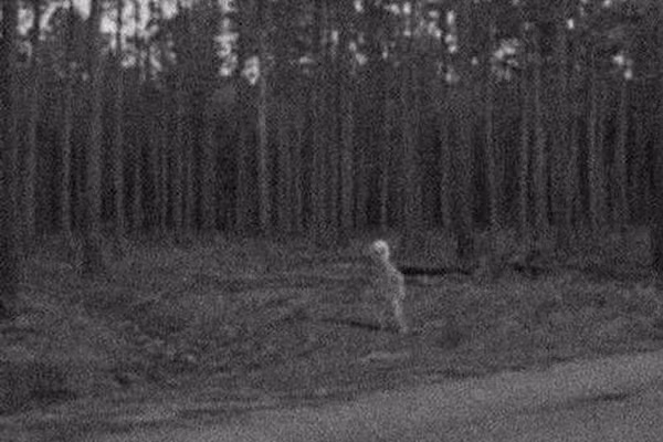 Theo thống kê, đã có khoảng 16.000 nạn nhân bị mất tích trong làn không khí loãng của vùng Tam giác Alaska bí ẩn. Ước tính, cứ 1.000 người tại Alaska lại có 4 người mất tích - tỷ lệ gấp đôi những khu vực khác của Mỹ.