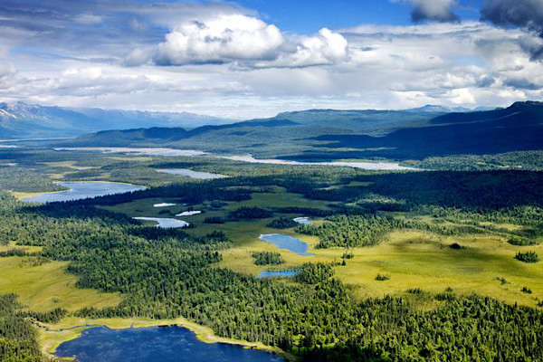 39 ngày trôi qua, toàn bộ lực lượng không thấy bất kỳ dấu vết nào, từ mảnh vụn cho tới các phần thi thể. Sau vụ tai nạn này, Quốc hội Mỹ đã thông qua luật bắt buộc mọi máy bay dân sự phải lắp đặt hệ thống định vị khẩn cấp.