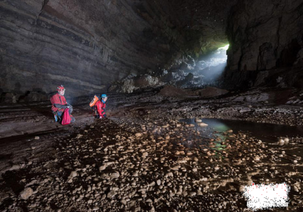 Phát hiện này giúp các nhà khoa học hiểu sâu hơn về sự tiến hóa của các loài đối với đặc tính kiếm ăn của chúng. Hang Shuanghe là môi trường sống thích hợp cho những con gấu trúc khổng lồ, vào thời điểm đó, do cấu trúc bên trong phức tạp và nhiều lỗ nối tiếp nhau.