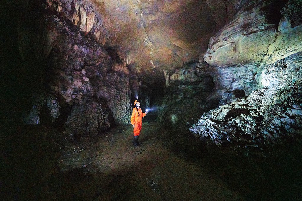 Cho đến nay, gần 30 hóa thạch gấu trúc khổng lồ đã được phát hiện trong hang động dài nhất châu Á này. Hang động rất giàu tài nguyên hóa thạch động vật có vú. Hóa thạch của chó rừng, tê giác, gấu đen, ngựa sừng sỏ, cầy hương Ấn Độ lớn và các loài động vật khác đã được tìm thấy trong các cuộc khai quật trước đây.