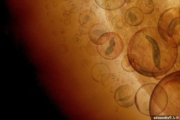 Nhóm nghiên cứu đến từ Đại học Cardiff, MIT và Đại học Cambridge cho biết, trong túi đám mây trên Sao Kim chứa những dạng sống ngoài hành tinh "không giống bất cứ thứ gì từng thấy trước đây".