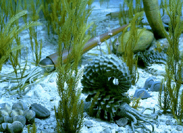 Sự kiện tuyệt chủng hàng loạt xảy ra vào cuối kỷ Devon đã xóa sổ 75% sự sống trên Trái đất, bắt đầu từ 365 triệu năm trước.