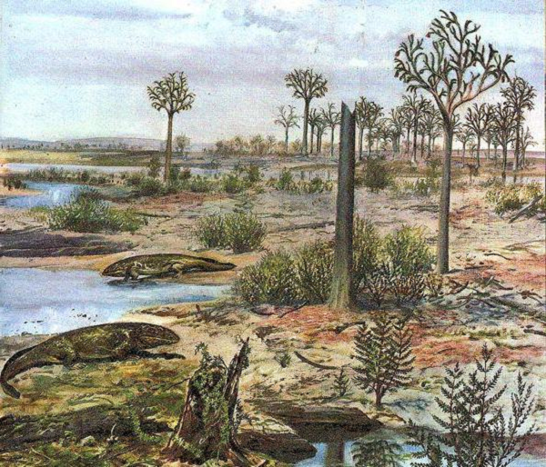 Lớp giáp bảo vệ của loài sâu biển nhỏ bé Lepidocoleus Caliburnus này cực kỳ rắn chắc nhưng lại mang tính linh động cao. Nhưng rất tiếc lớp áo giáp này không giúp chúng thoát khỏi đại tuyệt chủng.