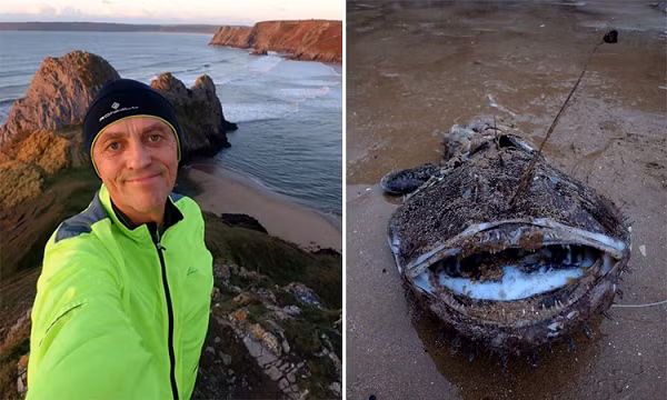 "Cái xác nằm lộn ngược nên tôi nhẹ nhàng lật nó lên, mà không nhận ra mình đang đặt chân vào một cái miệng khổng lồ. Những chiếc răng sắc nhọn của con vật đã xuyên qua mũi giày và suýt đâm vào da, khiến tôi hơi sốc", Rees kể lại. "Đó là một con cá thật khủng khiếp và đáng sợ!".