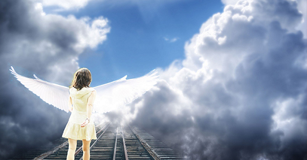 Bạn sẽ không tồn tại nếu thiếu một ý thức. Một trong những lý do TS Robert Lanza nghĩ bạn sẽ không chết, là bởi vì bạn không phải là một vật thể. Bạn là một sinh mệnh đặc biệt. Theo thuyết sinh tâm, không gì có thể tồn tại nếu thiếu ý thức.