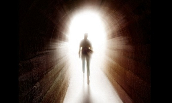 Ông tin rằng cái chết chỉ là ảo giác chứ không phải là thực tại. Lanza là người đứng đầu công ty Astellas Global Regenerative Medicine, chuyên phát triển các liệu pháp tế bào gốc, đồng thời là Giám đốc Khoa học của Viện Y học tái sinh Astellas. Ông cũng là Giáo sư của Trường Y Đại học Wake Forest.