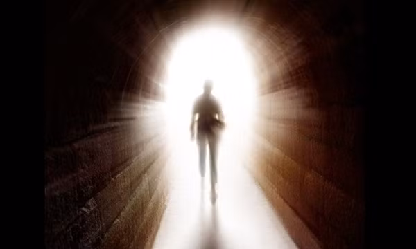 Ông tin rằng cái chết chỉ là ảo giác chứ không phải là thực tại. Lanza là người đứng đầu công ty Astellas Global Regenerative Medicine, chuyên phát triển các liệu pháp tế bào gốc, đồng thời là Giám đốc Khoa học của Viện Y học tái sinh Astellas. Ông cũng là Giáo sư của Trường Y Đại học Wake Forest.