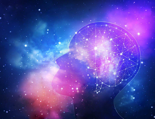 Sau đó, họ sử dụng các mô hình toán học của tô-pô đại số để mô tả cấu trúc và mạng lưới không gian hình học đa chiều trong mạng lưới não bộ rồi tiếp tục thực hiện các thí nghiệm trên các tế bào não người thật để kiểm tra lại kết quả.