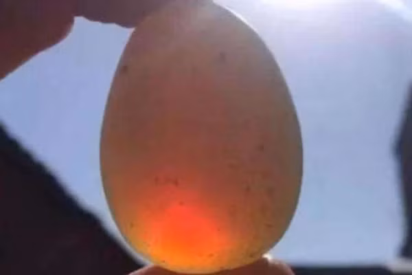 Các chuyên gia phát hiện " báu vật" này chính là di vật từ thời nhà Minh của Trương Hiến Trung. Trong sử sách có ghi lại nơi cuối cùng mà Trương Hiến Trung ở lại, tình cờ trùng với vị trí mà lão nông nhặt được hai viên đá.