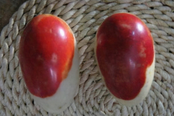 Loại đá này có hình dạng giống như quả trứng, nhưng lại có màu đỏ nên người ta thường gọi là đá trứng máu. Đá trứng máu là một trong 4 loại đá quý của Trung Quốc, vô cùng quý hiếm và thường được làm đồ chơi của các Hoàng đế trước đây.