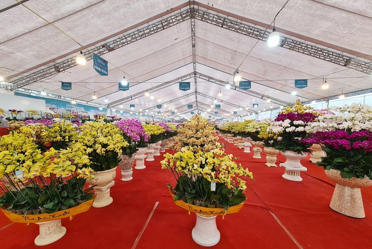 Bên cạnh chậu lan bạc tỷ, tại gian hàng còn bày bán các chậu lan hồ điệp xuất xứ từ Đà Lạt khác, cũng đa dạng mẫu mã, được phân loại từ số cành, kích thước cành, cách bài trí… với giá cả khác nhau.